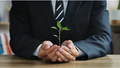 homme assis sur un bureau tenant une plante entre les mains